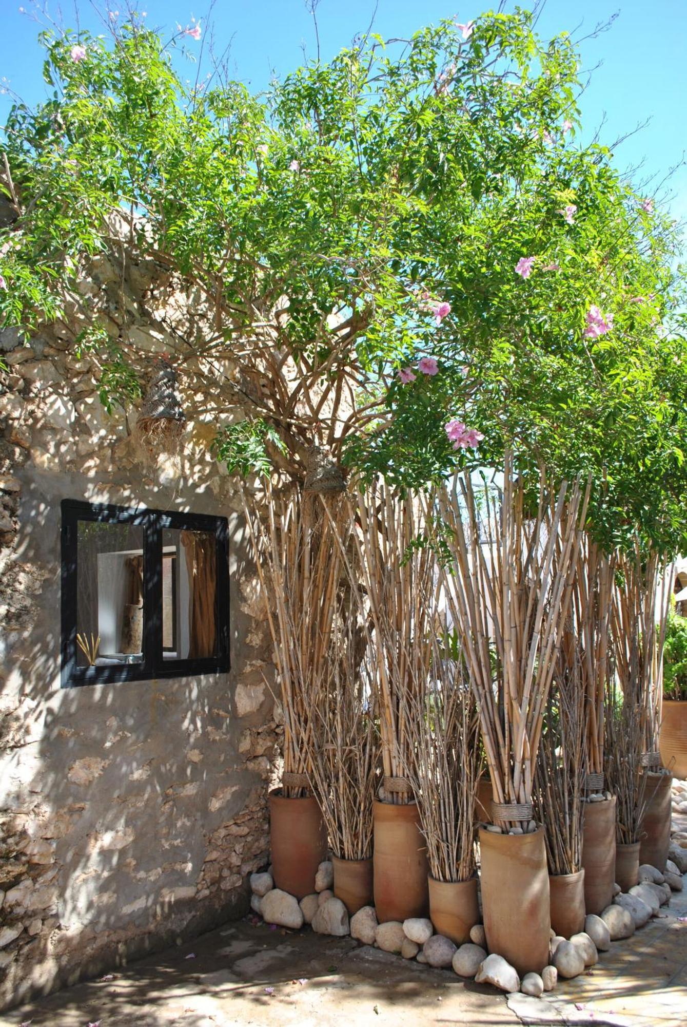Maison Sidi Et Lalla Essaouira Exterior photo